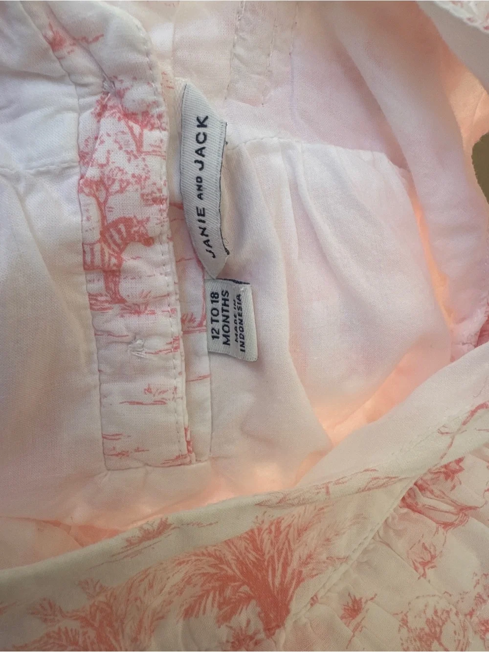 Janie and Jack size 12